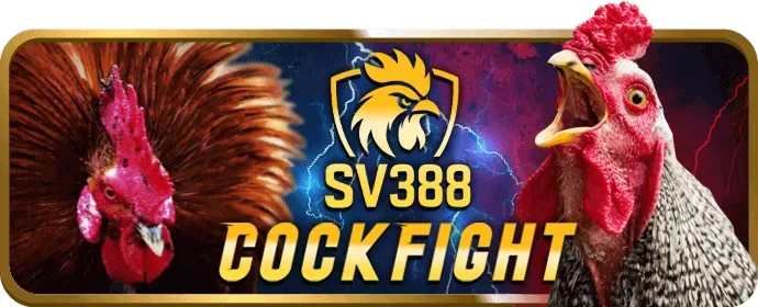 Hạn mức giao dịch và phí vn58 link mới